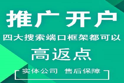 SEM运营公司案例：打造爆款广告策略